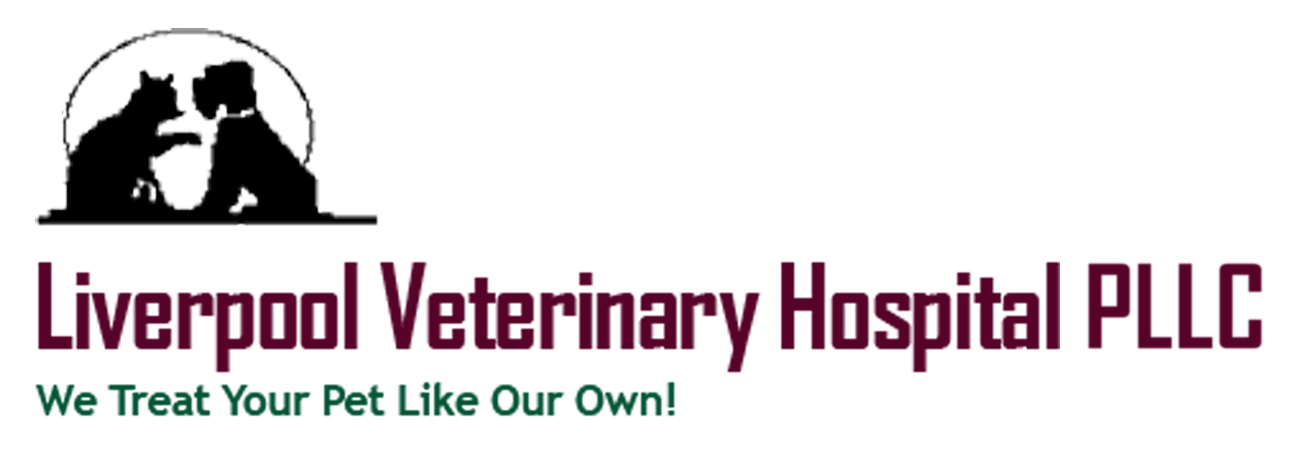 Liverpool Veterinary Hospital - Veterinarian In Liverpool Ny Us
